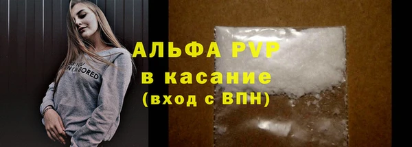 эйфоретик Баксан