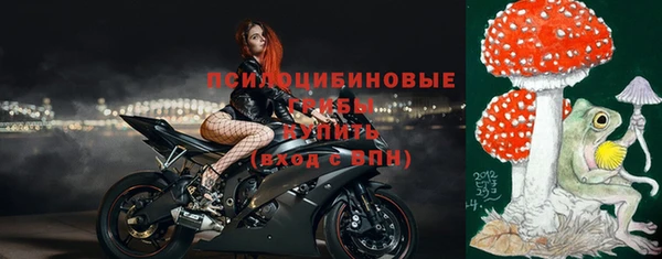 a pvp Рославль