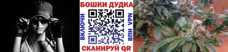 где купить наркоту  Новый Оскол  Бошки марихуана сатива 